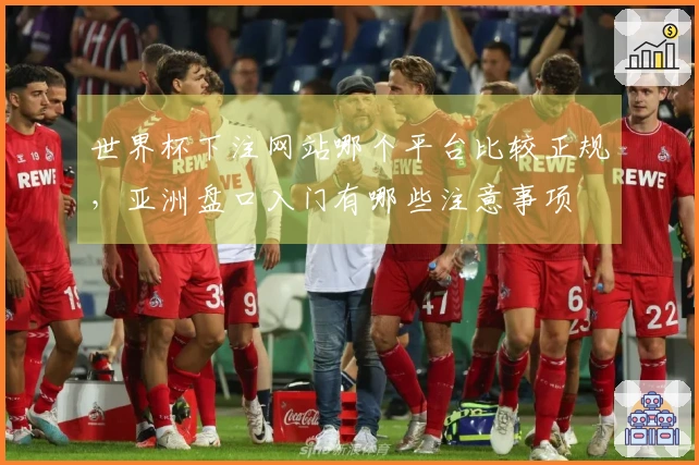 世界杯下注网站哪个平台比较正规，亚洲盘口入门有哪些注意事项