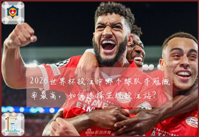 2026世界杯投注中哪个球队夺冠概率最高,如何选择正规投注站?