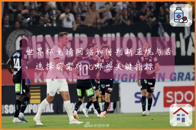 世界杯竞猜网站如何判断正规与否，选择前需对比哪些关键指标