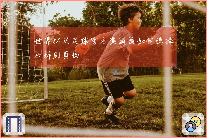 世界杯买足球官方渠道该如何选择和辨别真伪