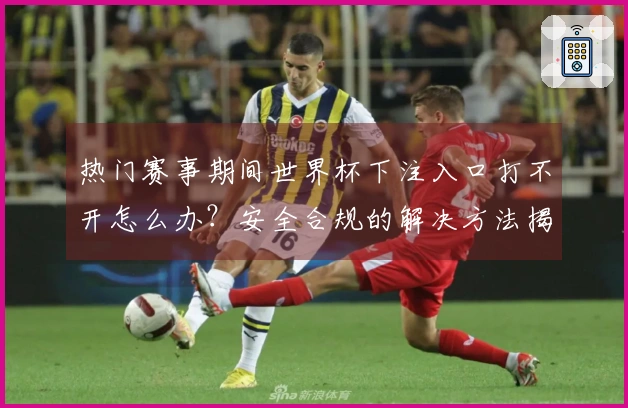 热门赛事期间世界杯下注入口打不开怎么办？安全合规的解决方法揭秘