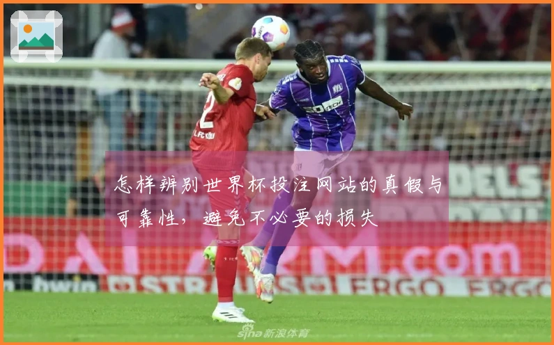 怎样辨别世界杯投注网站的真假与可靠性，避免不必要的损失