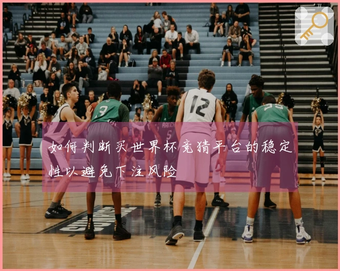 如何判断买世界杯竞猜平台的稳定性以避免下注风险