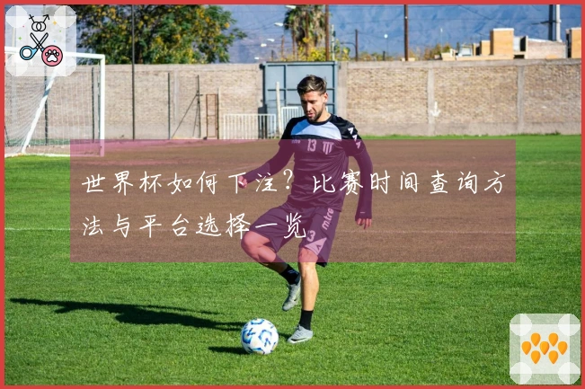 世界杯如何下注？比赛时间查询方法与平台选择一览