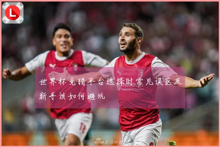 世界杯竞猜平台选择时常见误区及新手该如何避坑