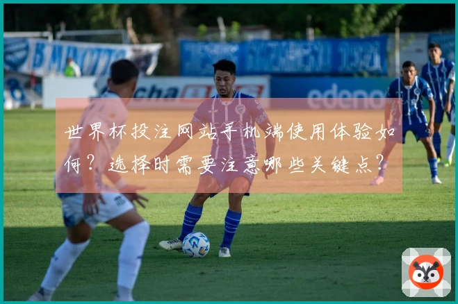 世界杯投注网站手机端使用体验如何？选择时需要注意哪些关键点？