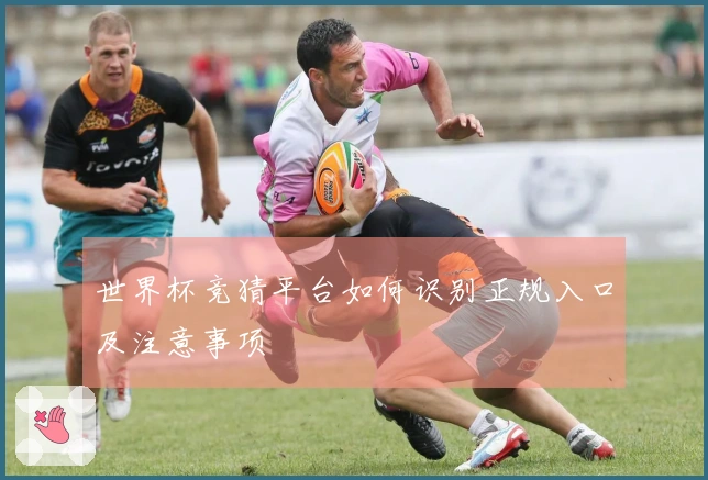 世界杯竞猜平台如何识别正规入口及注意事项