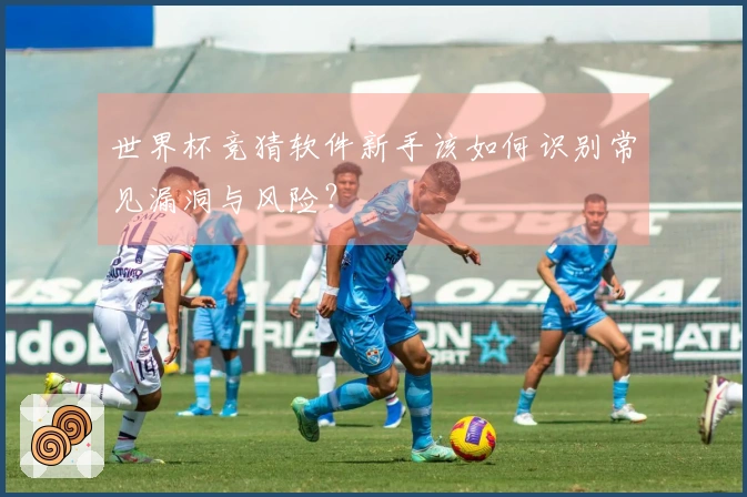 世界杯竞猜软件新手该如何识别常见漏洞与风险？
