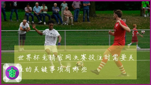 世界杯竞猜官网决赛投注时需要关注的关键事项有哪些