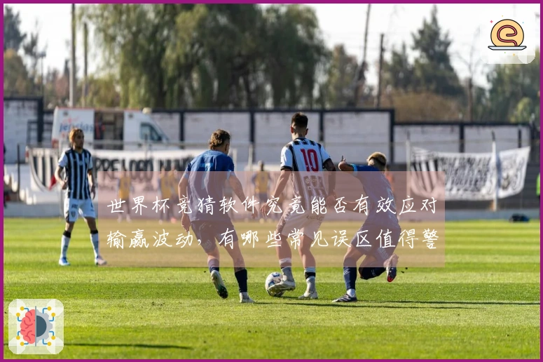 世界杯竞猜软件究竟能否有效应对输赢波动，有哪些常见误区值得警惕？