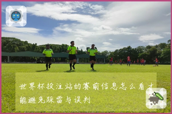 世界杯投注站的赛前信息怎么看才能避免踩雷与误判