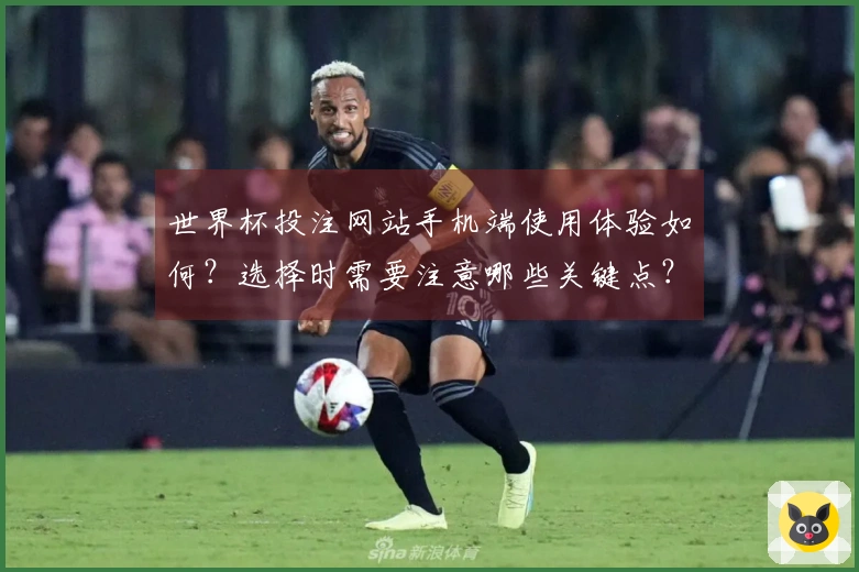 世界杯投注网站手机端使用体验如何?选择时需要注意哪些关键点?