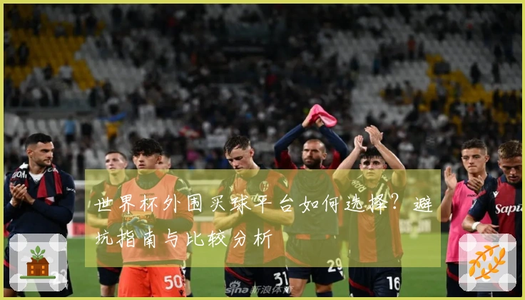 世界杯外围买球平台如何选择？避坑指南与比较分析