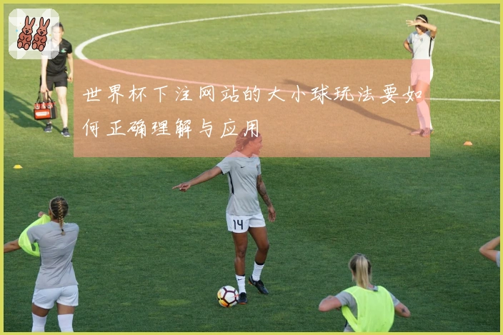 世界杯下注网站的大小球玩法要如何正确理解与应用