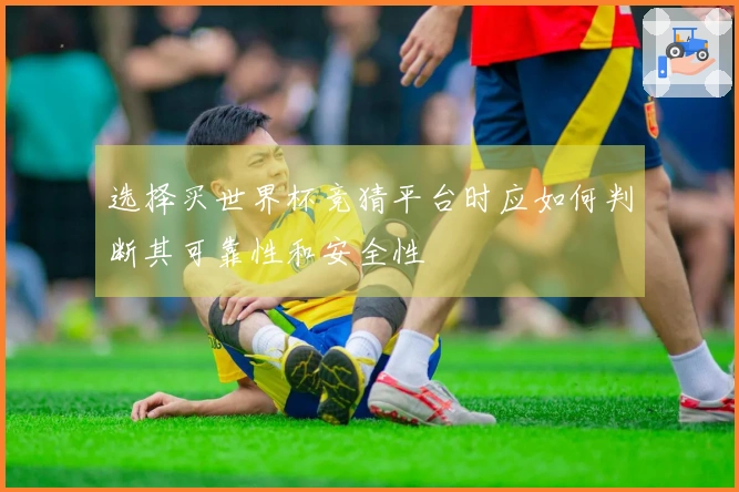 选择买世界杯竞猜平台时应如何判断其可靠性和安全性