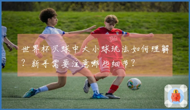 世界杯买球中大小球玩法如何理解？新手需要注意哪些细节？