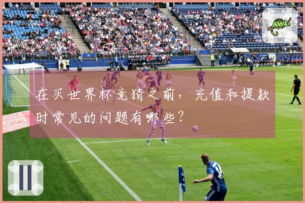 在买世界杯竞猜之前，充值和提款时常见的问题有哪些？