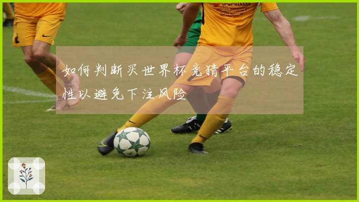 如何判断买世界杯竞猜平台的稳定性以避免下注风险