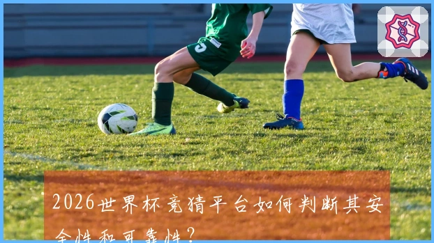 2026世界杯竞猜平台如何判断其安全性和可靠性？