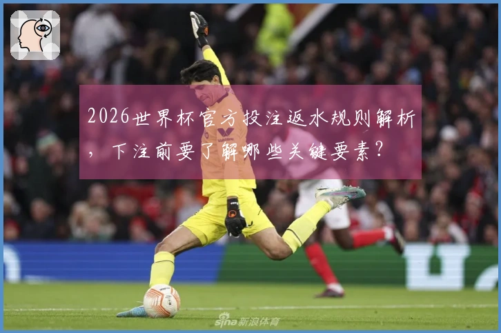 2026世界杯官方投注返水规则解析，下注前要了解哪些关键要素？