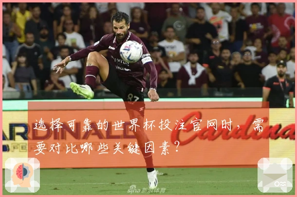 选择可靠的世界杯投注官网时，需要对比哪些关键因素？