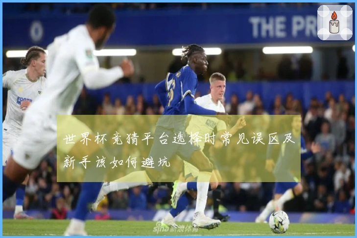世界杯竞猜平台选择时常见误区及新手该如何避坑