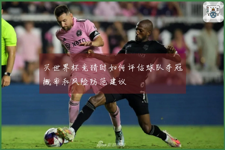 买世界杯竞猜时如何评估球队夺冠概率和风险防范建议