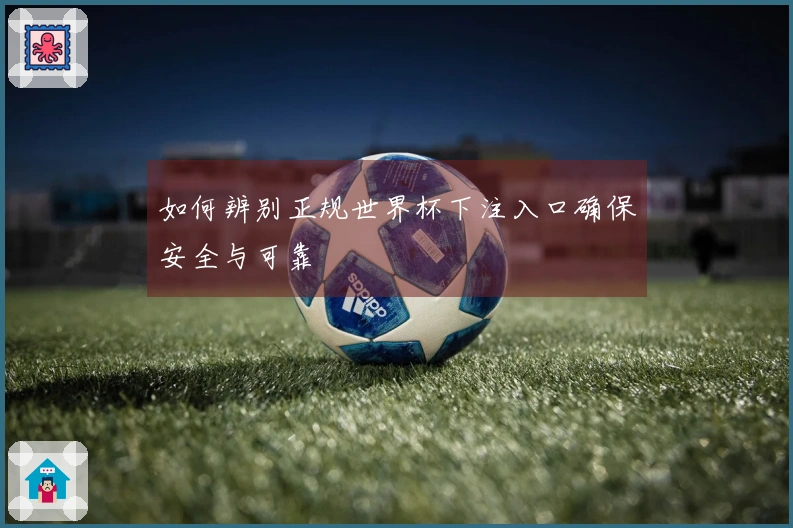 如何辨别正规世界杯下注入口确保安全与可靠