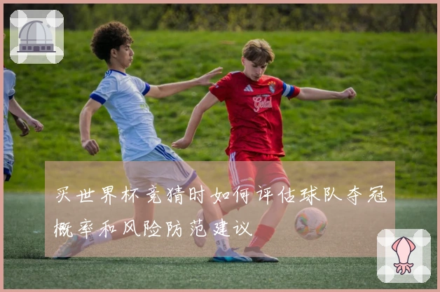 买世界杯竞猜时如何评估球队夺冠概率和风险防范建议