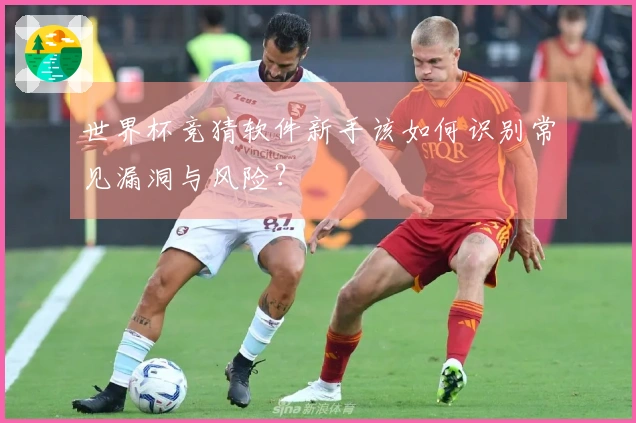 世界杯竞猜软件新手该如何识别常见漏洞与风险？