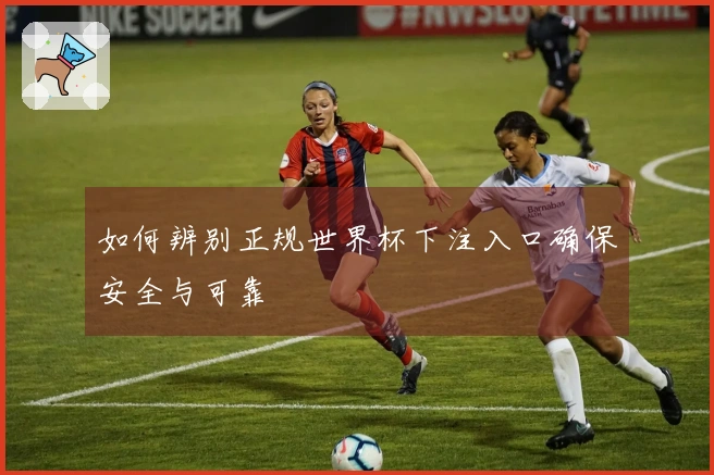 如何辨别正规世界杯下注入口确保安全与可靠