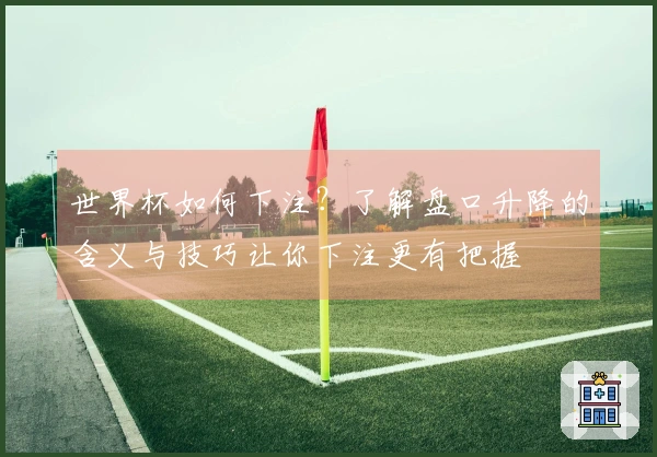世界杯如何下注？了解盘口升降的含义与技巧让你下注更有把握