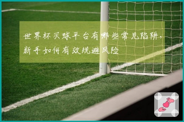 世界杯买球平台有哪些常见陷阱,新手如何有效规避风险