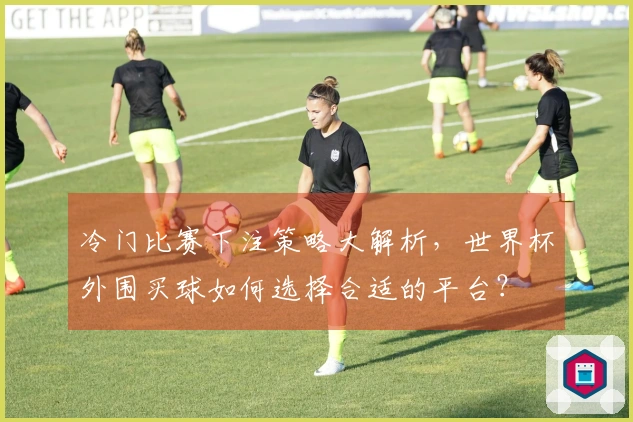 冷门比赛下注策略大解析,世界杯外围买球如何选择合适的平台?